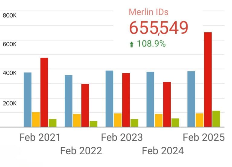 Merlin Bird ID shows remarkable growth since 2021, with increasing eBird checklists (blue), eBird users (yellow), Merlin submissions (red), and Merlin users (green). It's inspiring to see so many embracing technology to connect with nature. - birdcount.org
